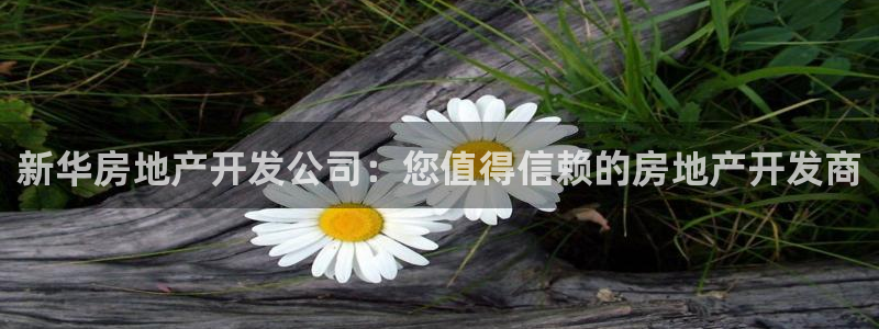 万向娱乐的联系方式