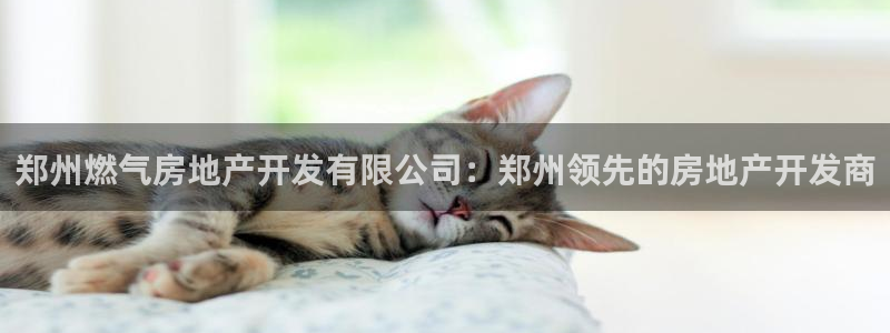万向娱乐app下载苹果版