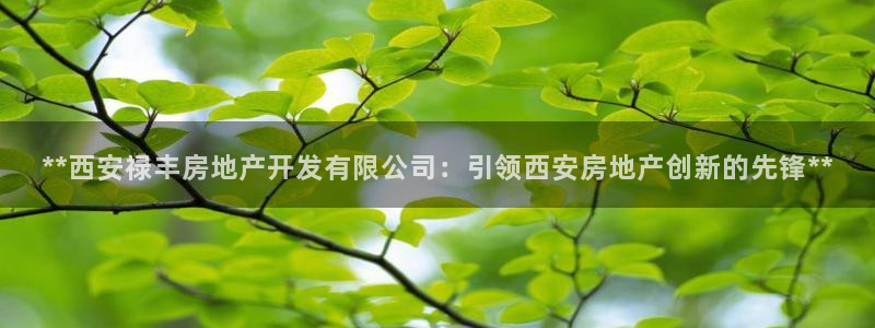 万象游戏代理