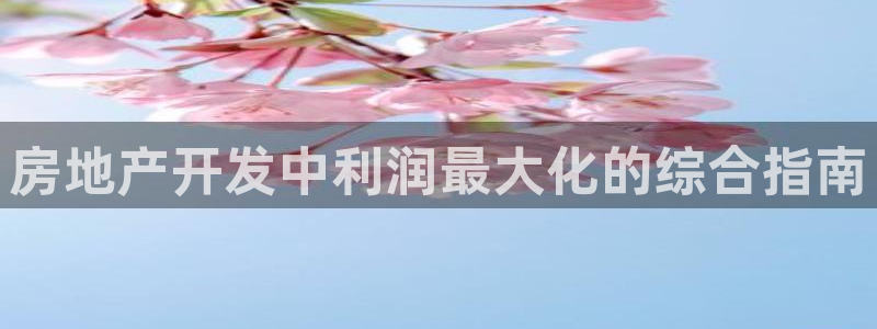 万象国际娱乐网址