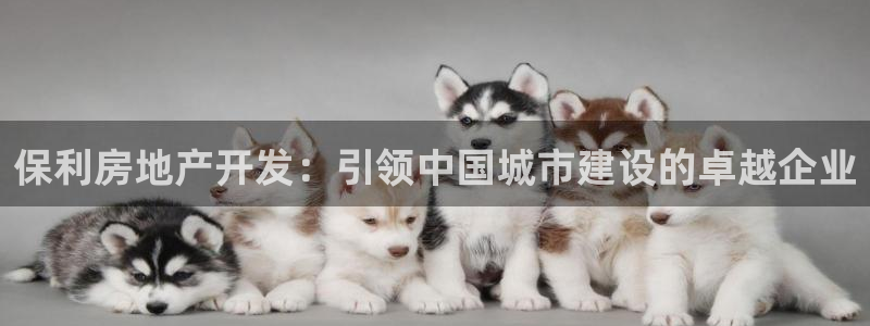万向娱乐老板