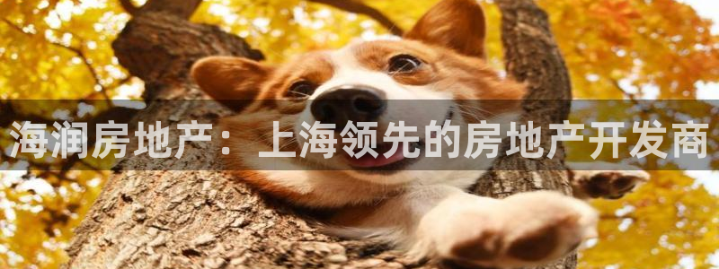 万向娱乐平台代理多少钱一个