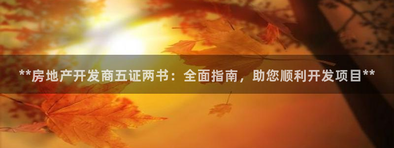 万向娱乐的494o3 主管