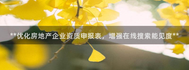 万向娱乐挂机软件