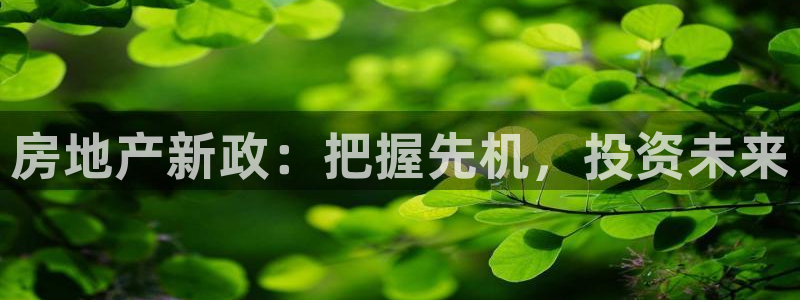 万向娱乐的494o3 主管
