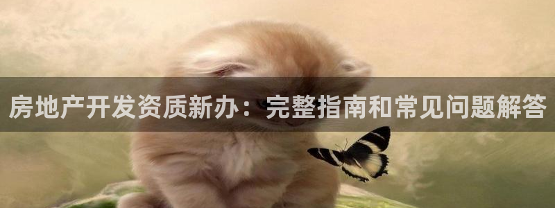 万向娱乐挂机