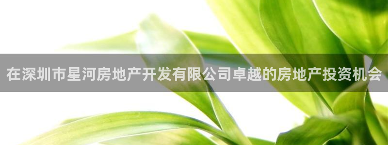 万向娱乐平台代理
