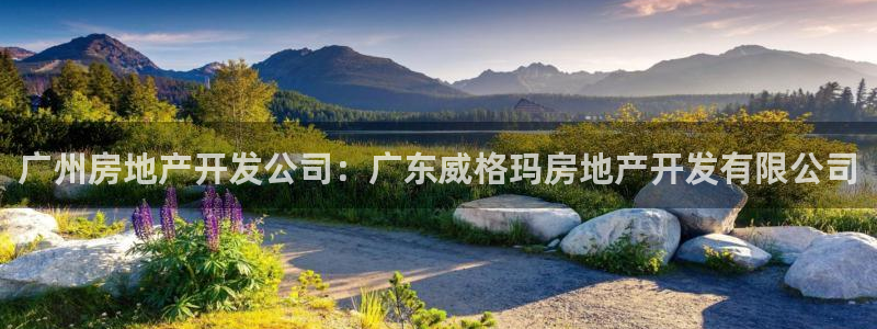 万象游戏代理