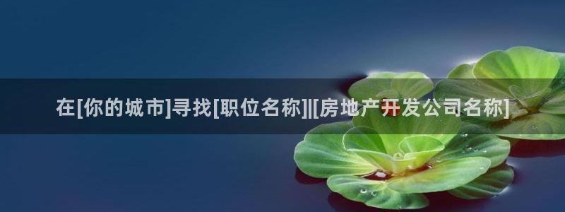 万向娱乐老板