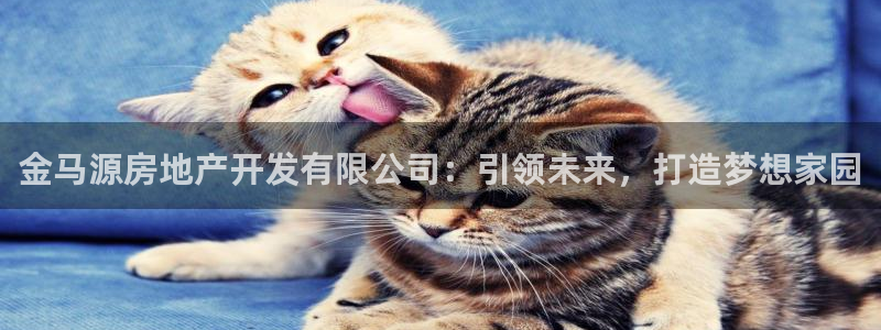 万向娱乐平台代理多少钱一个月