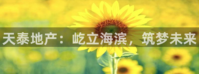 万向娱乐平台代理多少钱