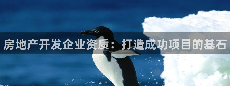 万向娱乐平台代理多少钱一个