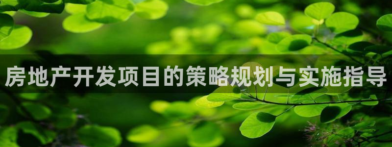 万向娱乐总代