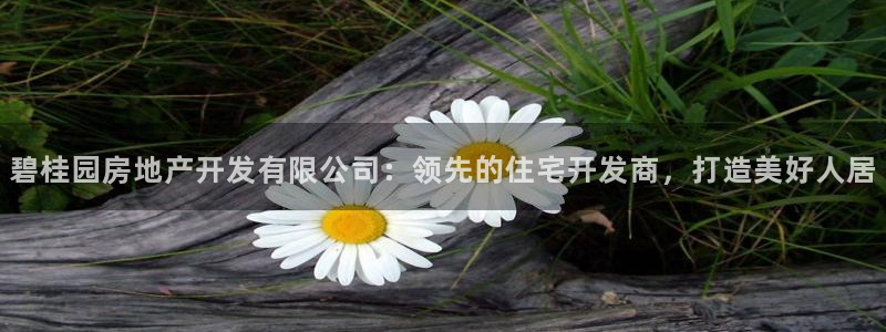 万向娱乐技术