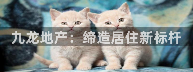万向娱乐平台下载安装
