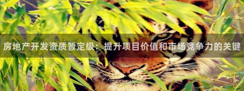 万向娱乐官网下载安装苹果