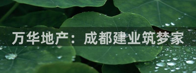 万向娱乐app