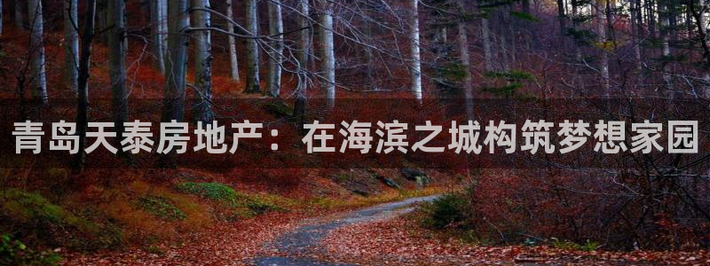 万向娱乐官网下载安装最新版