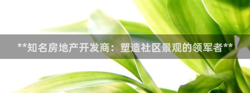 万向娱乐官网下载安装最新版
