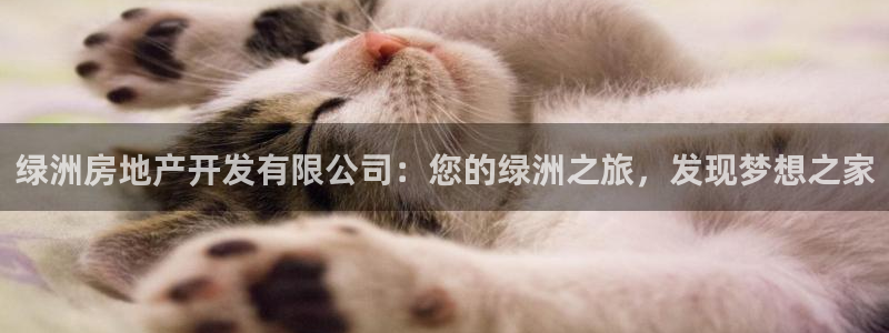 万向娱乐登陆官网入口