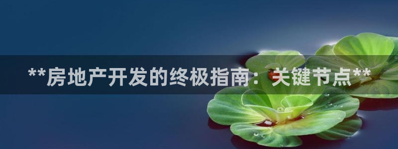 万向娱乐官网下载安卓