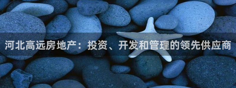 万向娱乐公司 585.34I 娱乐