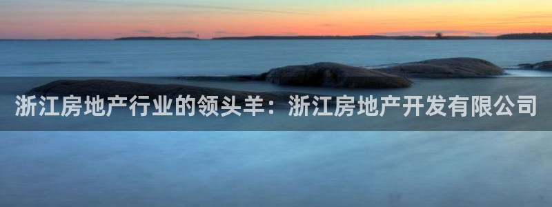 万向娱乐王者荣耀