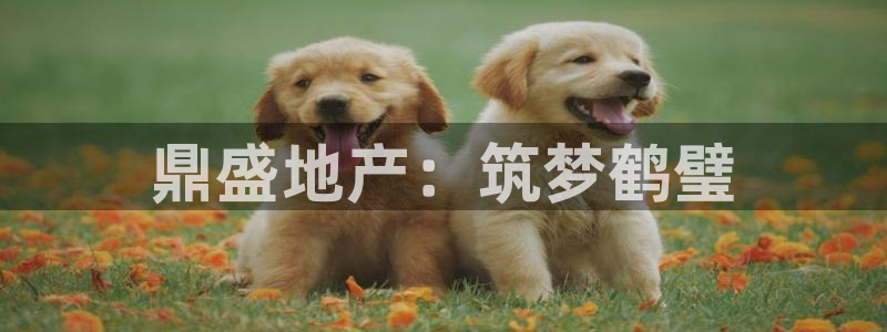 万向娱乐公司官网