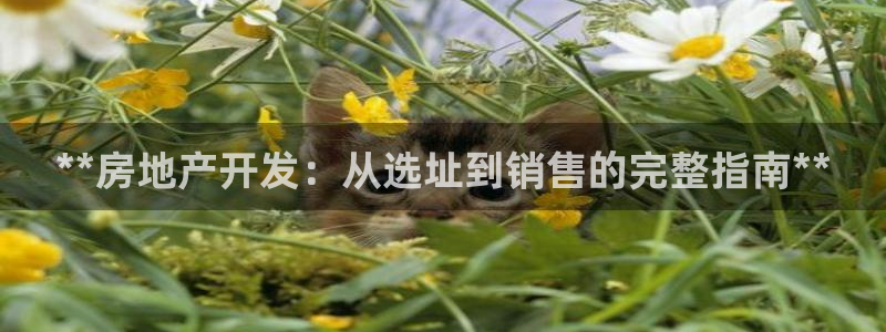 万向娱乐平台代理怎么样可靠吗