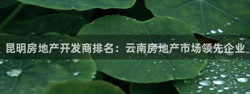 万向娱乐首页
