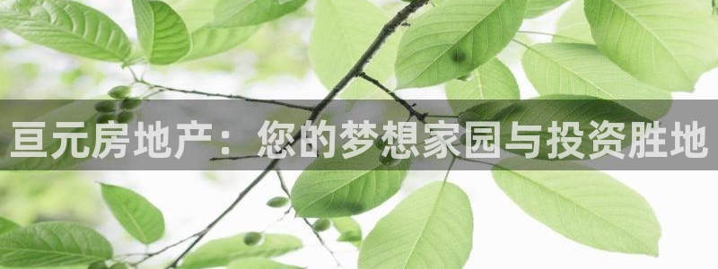 万向娱乐平台代理怎么做
