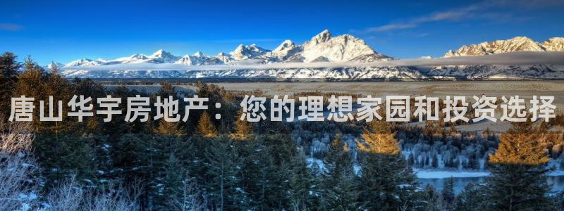万向娱乐官网下载