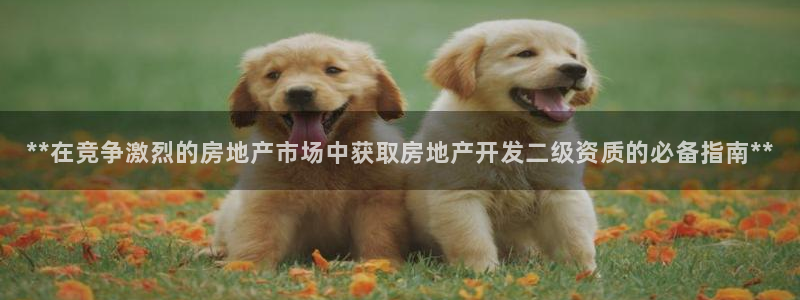 万向娱乐app