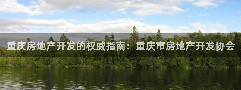 万向娱乐挂机软件