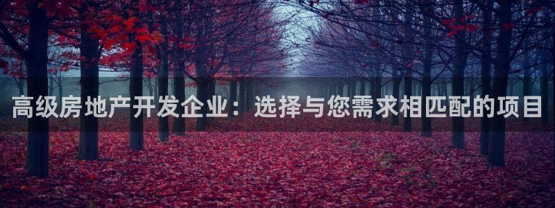 万向娱乐公司官网