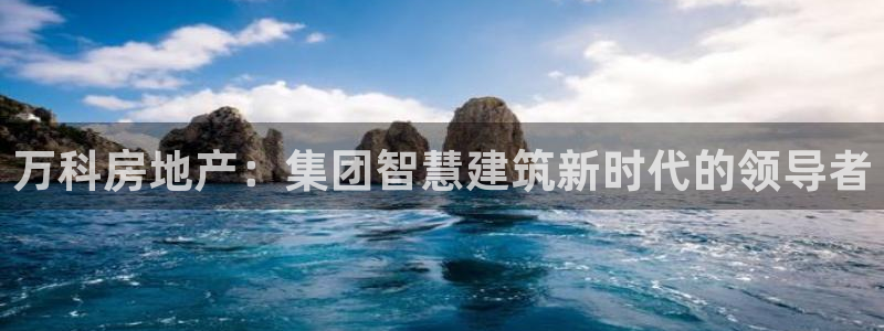 万向娱乐登陆官网入口