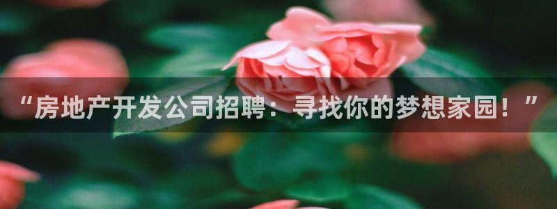 万向娱乐官网下载安装手机版