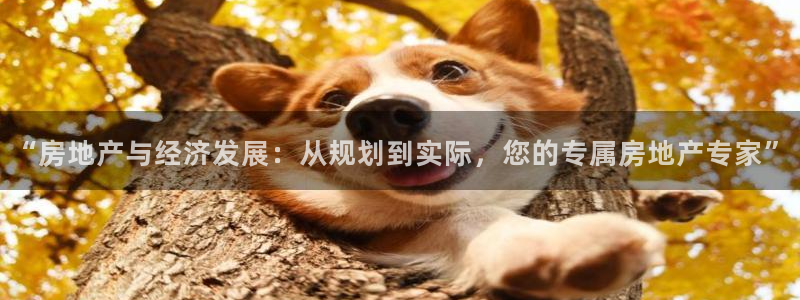 万向娱乐代理好看视频