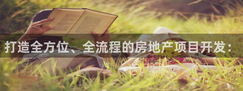 万向娱乐挂机软件