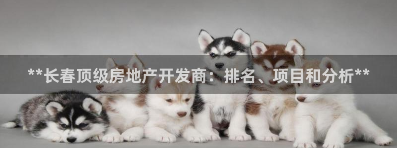 万向娱乐app下载安装