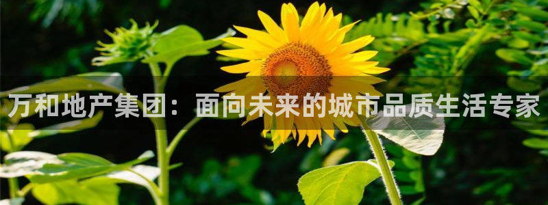 万向娱乐灯333OO