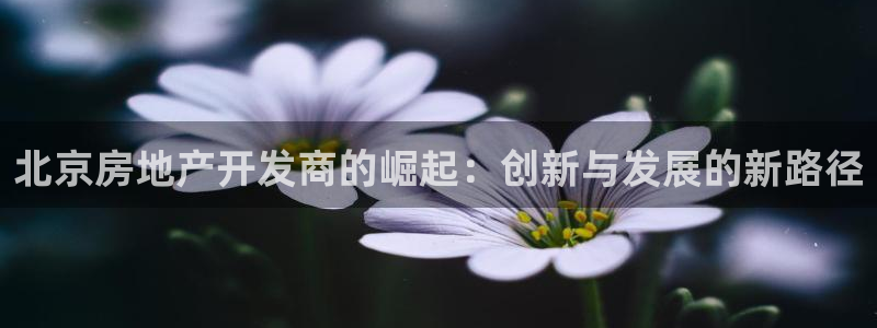万向娱乐的494o3 主管